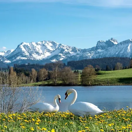 Direkt Am See Mit Bergblick Seeg Exterior photo