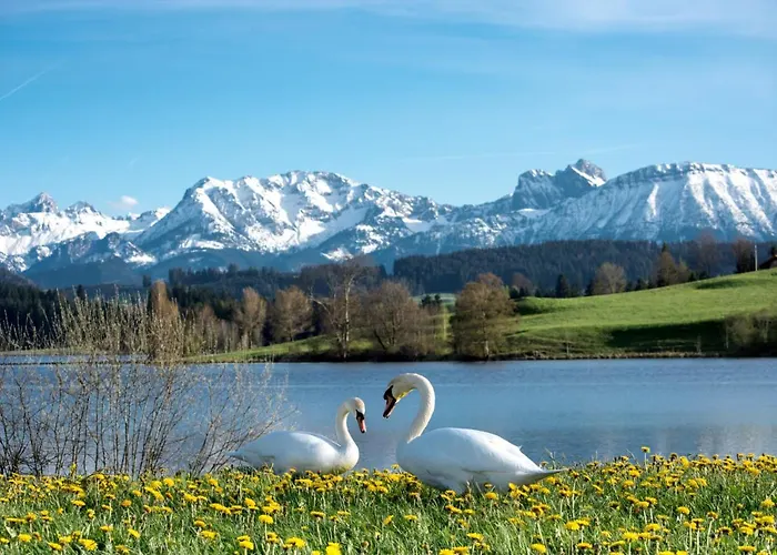 Direkt Am See Mit Bergblick